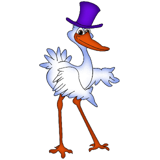 a party stork